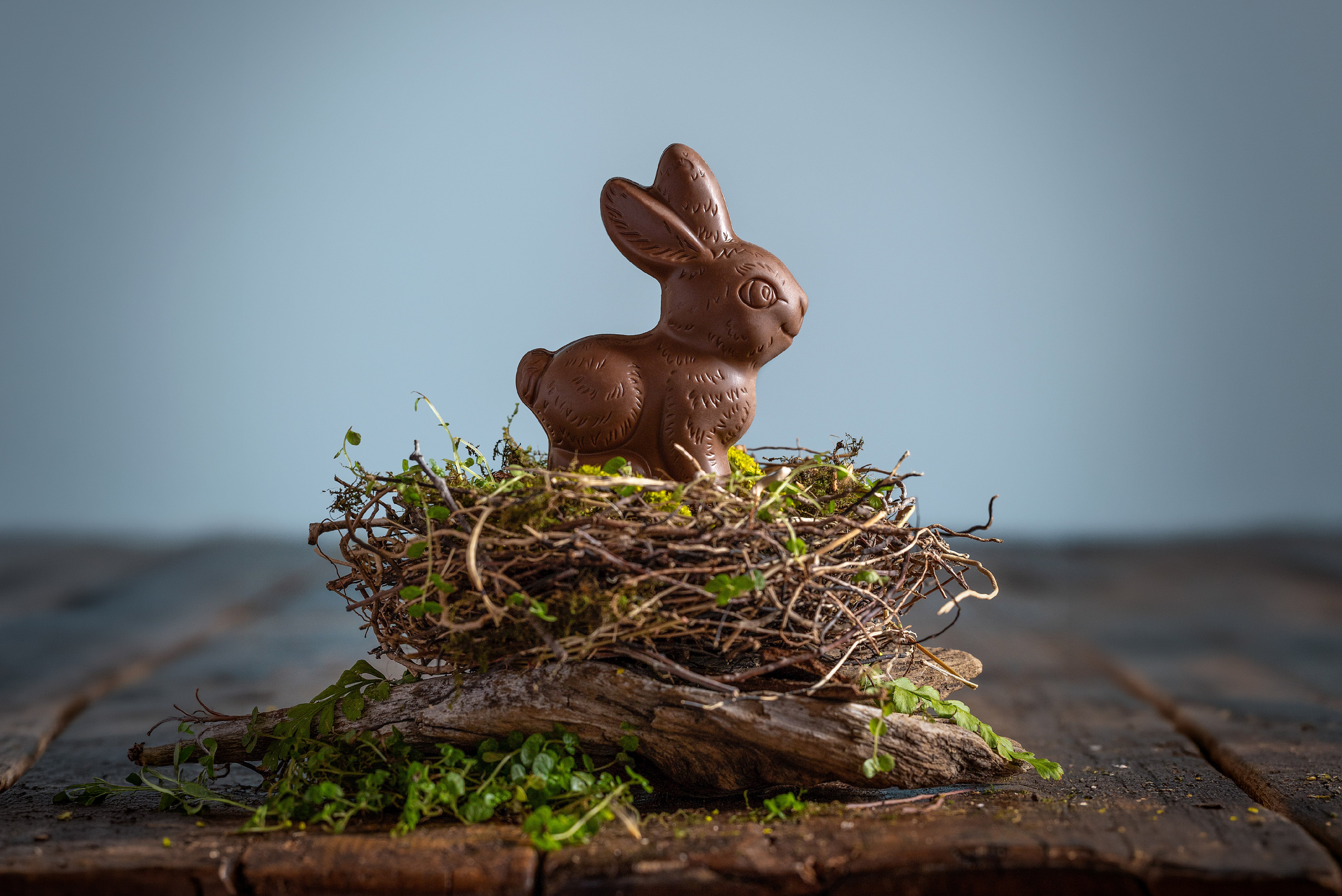 Rabbitter con dulce de leche